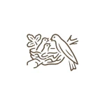 1-Nestle.webp
